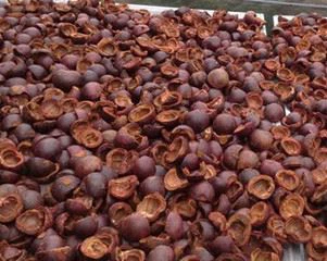 Mangosteen husk