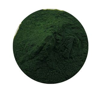 Spirulina por