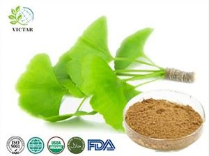 Ginkgo Biloba levélkivonat