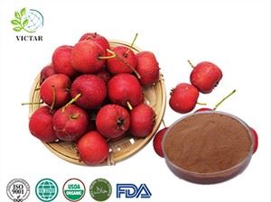 Hawthorn Berry kivonat
