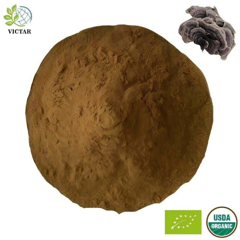 Organic Coriouls Versicolor kivonat
