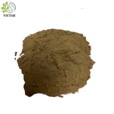 Ginkgo levél por